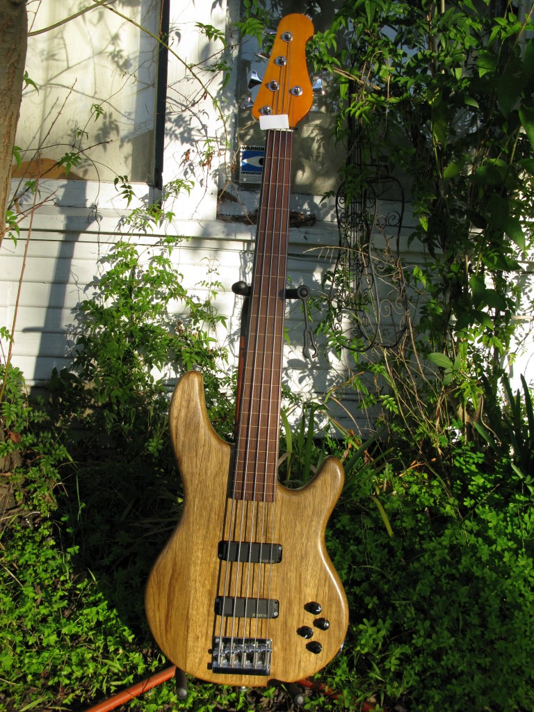 Subway Custom Fretless 5-String Bass