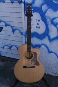 000 Cutaway Gruhn Design Solid Top NOS $500