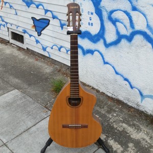 Brazilian Rosewood craviola thalidpmide guitar circa 1970 $700