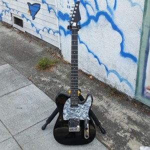 Subway Custom baritone moses neck 24 frets $750