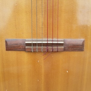 Brazilian Rosewood craviola thalidomide guitar circa 1970 $700