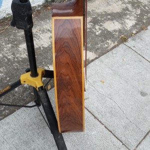 Brazilian Rosewood craviola thalidomide guitar circa 1970 $700