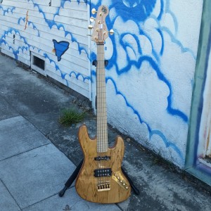 5 string bass Wilkenson pickups $700