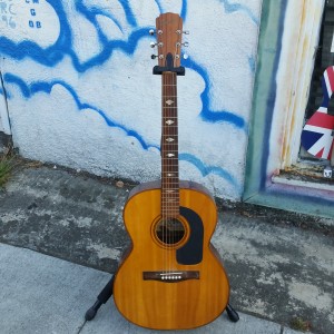 Brazilian Giannini 00-28 Brazilian Rosewood back and sides 1970 $250