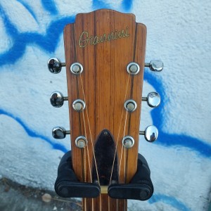 Brazilian Giannini 00-28 Brazilian Rosewood back and sides 1970 $250