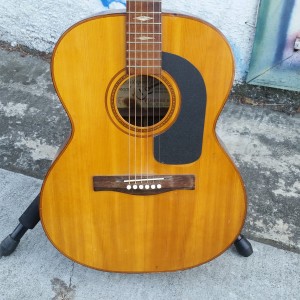 Brazilian Giannini 00-28 Brazilian Rosewood back and sides 1970 $250