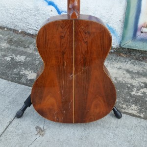 Brazilian Giannini 00-28 Brazilian Rosewood back and sides 1970 $250