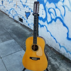 60's Martin D-12-35 Brazilian Rosewood 