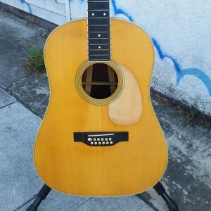 60's Martin D-12-35 Brazilian Rosewood 