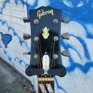 1960's Gibson Dove