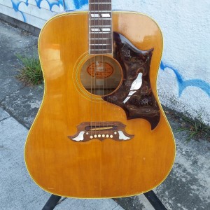 1960's Gibson Dove