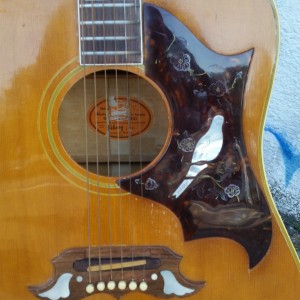 1960's Gibson Dove