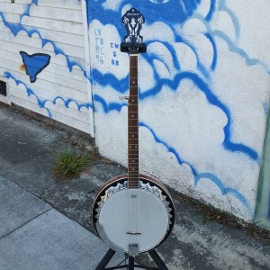 Savannah 5 string fancy Banjo $300