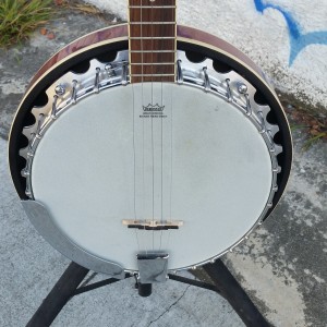 Savannah 5 string fancy Banjo $300