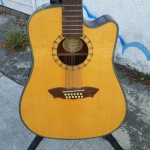 Fancy Washburn 12 string  Grover gears $300