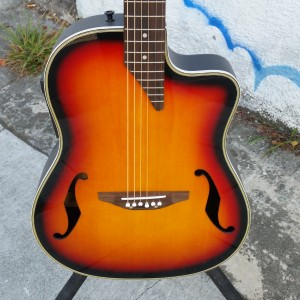 Ugly FatDog bowl back with tele neck with pickups electric acoustic $250